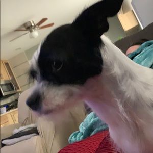 Meet your Posher, Wally